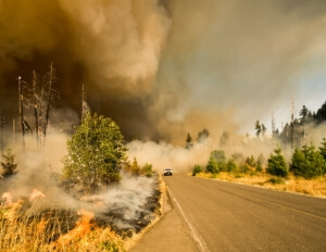 Insurance Coverage for Natural Disasters in Okemos, MI