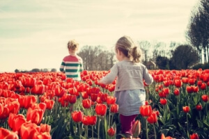 Spring Activities to Consider in Okemos, Michigan