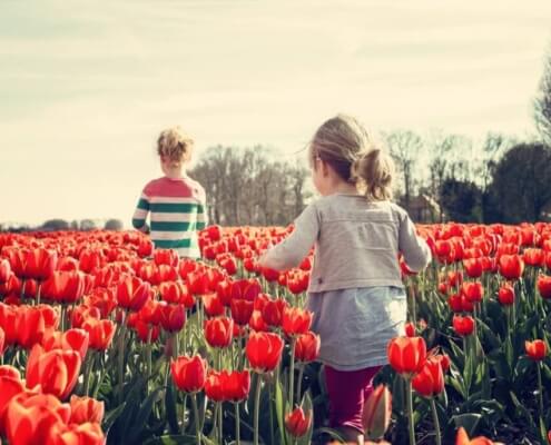 Spring Activities to Consider in Okemos, Michigan
