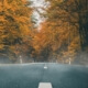 Fall and winter driving in Okemos, MI