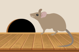 Rodent Damage & Preventative Steps to Take This Winter in Okemos, MI