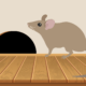 Rodent Damage & Preventative Steps to Take This Winter in Okemos, MI
