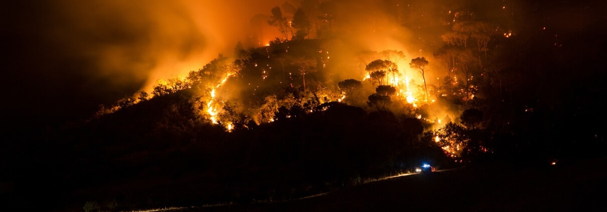 Wildfire Prevention Tips in Okemos, MI