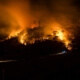 Wildfire Prevention Tips in Okemos, MI