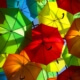 Umbrella Insurance